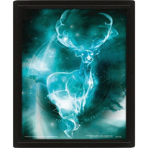 Obraz 3D Patron - Harry Potter