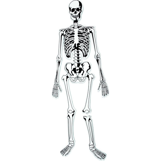 Learning Resources Piankowy szkielet puzzli